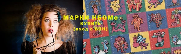 шишки Белоозёрский